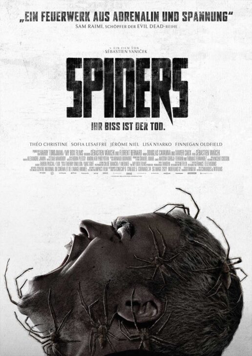 Spiders